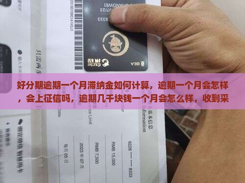 好分期逾期一个月滞纳金如何计算