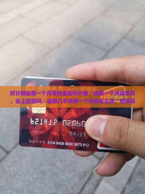 好分期逾期一个月滞纳金如何计算
