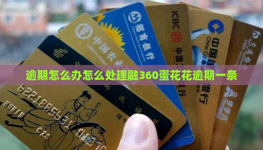 融360蛋花花逾期一条怎么办