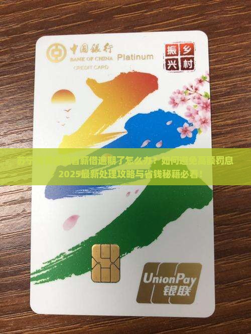 苏宁消费金融省薪借逾期如何处理