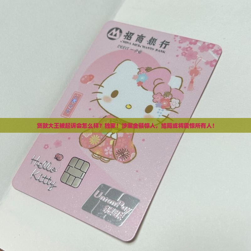 贷款大王被起诉会怎么样