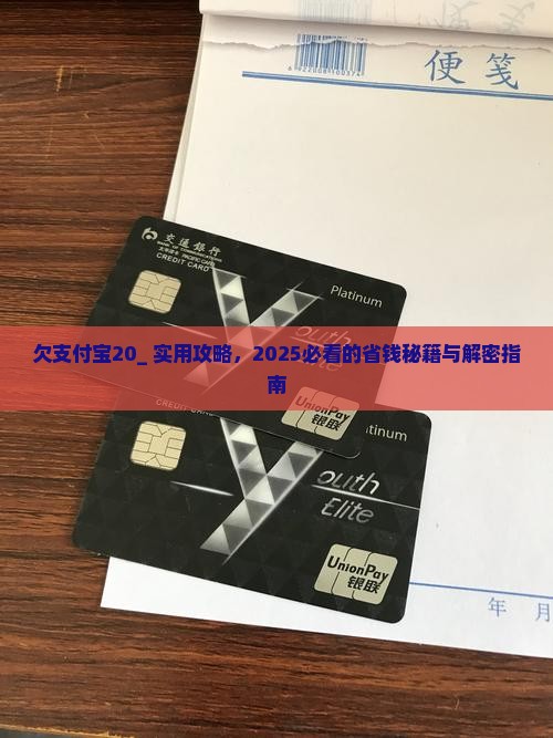 欠支付宝20