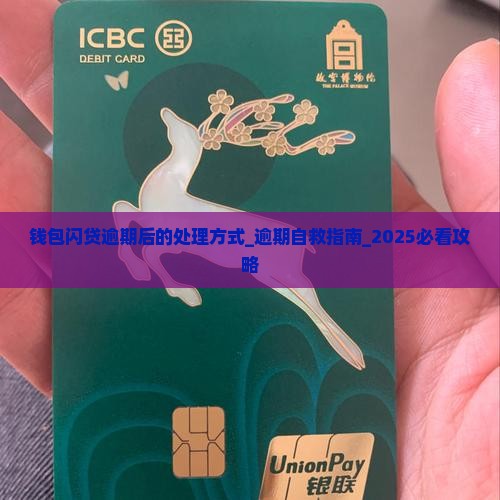 钱包闪贷逾期后的处理方式