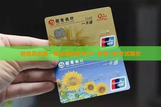 拍拍贷逾期一年逾期利息多少