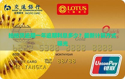 拍拍贷逾期一年逾期利息多少