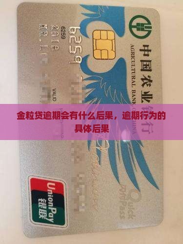 金粒贷逾期会有什么后果