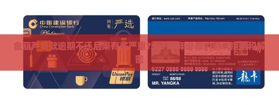 金葫芦贷款逾期不还后果严重吗