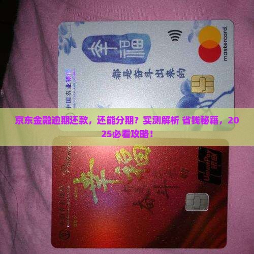 京东金融逾期怎么分期还