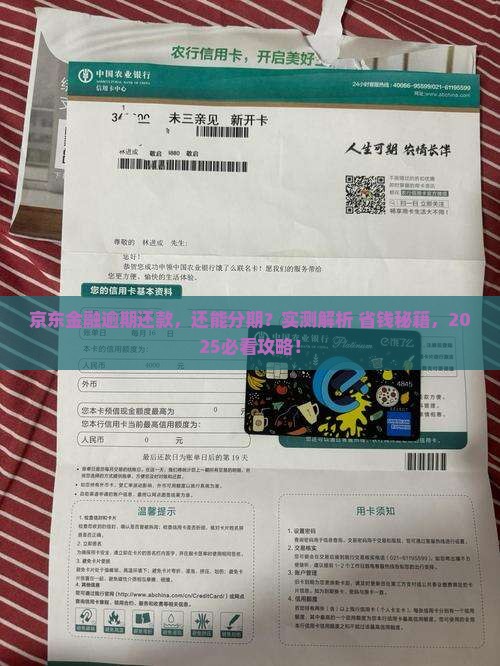 京东金融逾期怎么分期还