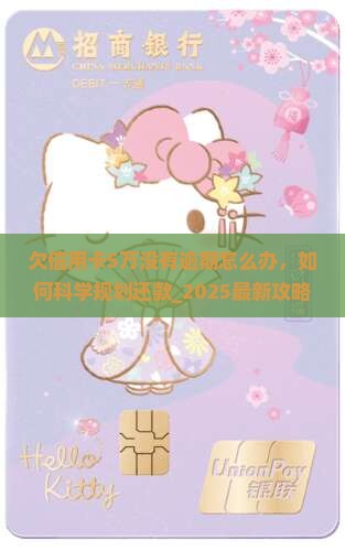 欠信用卡5万没有逾期怎么办