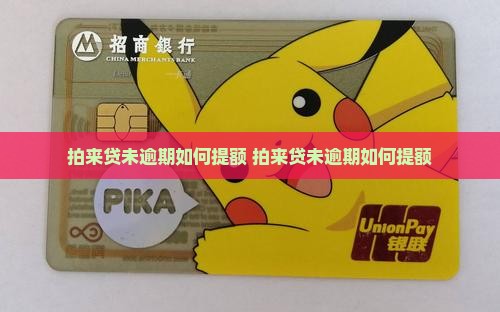 拍来贷未逾期如何提额