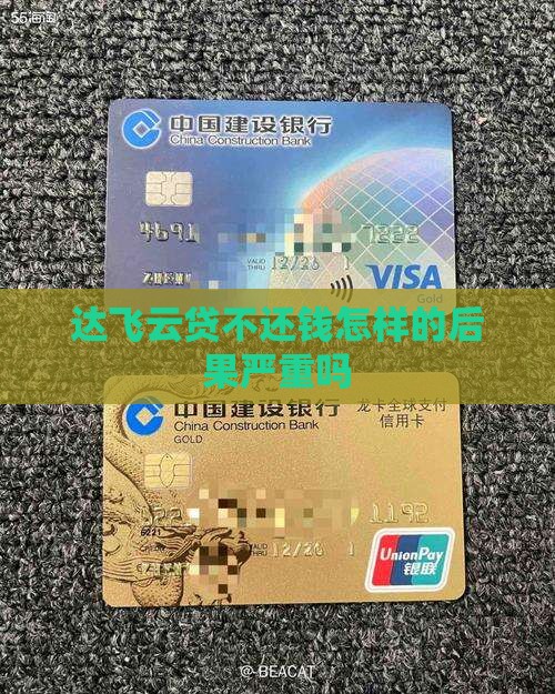 达飞云贷不还钱怎样的后果严重吗