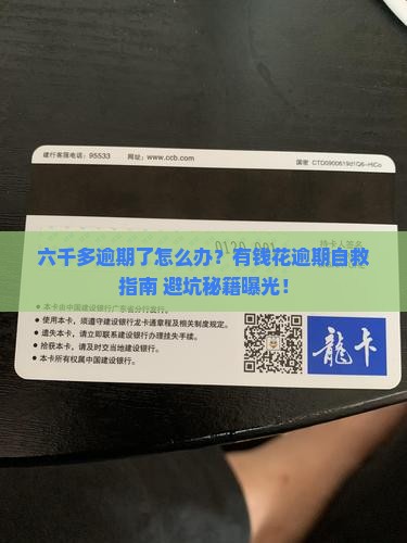 有钱花逾期六千多怎么办