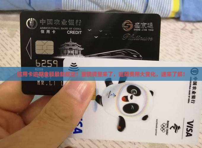 信用卡逾期金额最新规定
