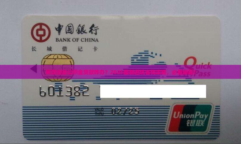 欠网贷公积金贷款如何处理