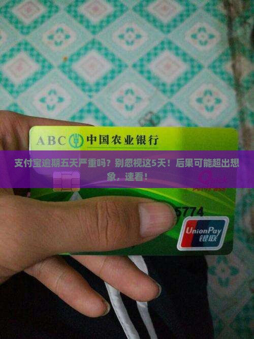 支付宝逾期五天严重吗