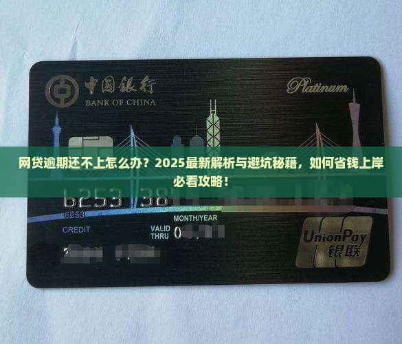 好几个网贷平台逾期还不上怎么办