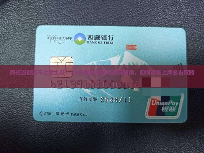 好几个网贷平台逾期还不上怎么办