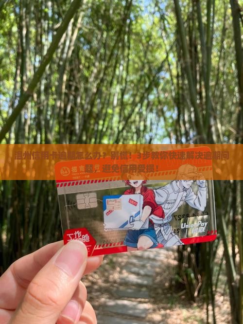 温州信用卡逾期怎么办