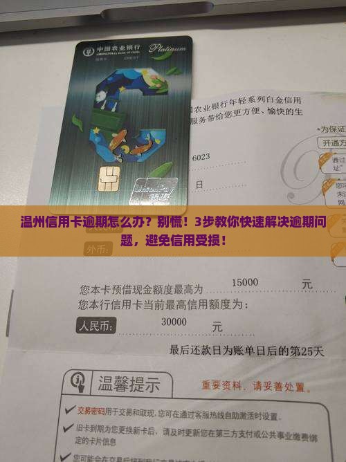 温州信用卡逾期怎么办