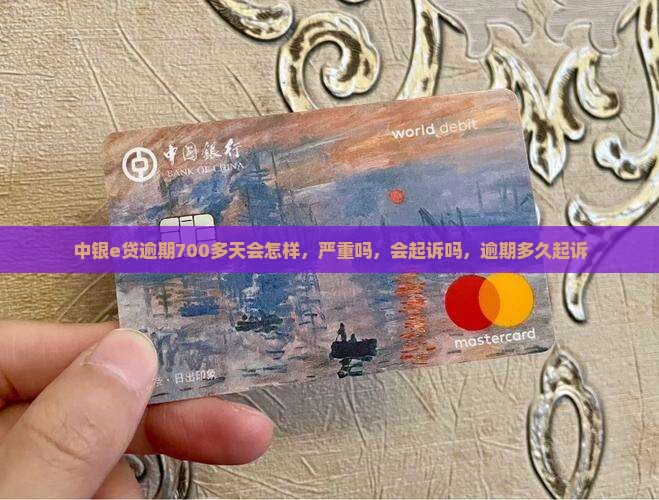 中银e贷逾期700多天