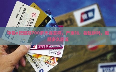 中银e贷逾期700多天