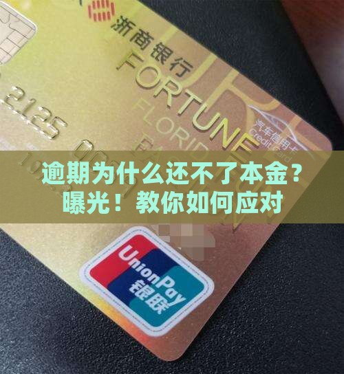 逾期为什么还不了本金