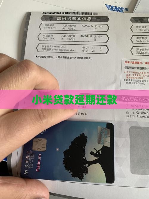 小米贷款延期还款