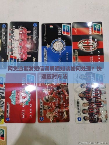 网贷逾期发短信调解通知该如何处理