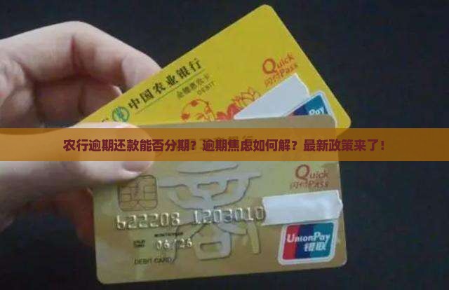 农行逾期还款能否分期