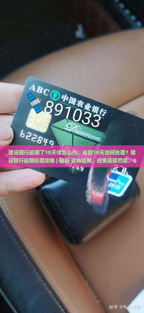 建设银行逾期了10天该怎么办