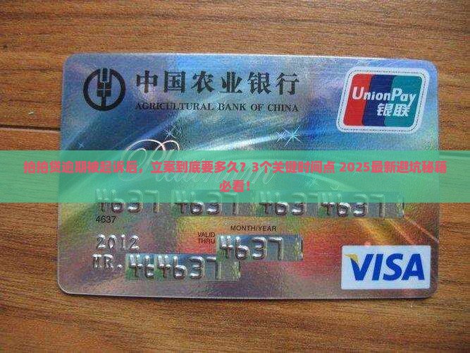 拍拍贷逾期起诉后多久立案程序是怎样的