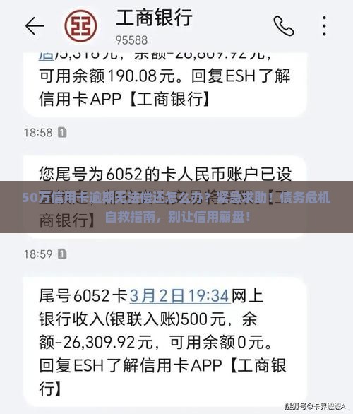 50万信用卡逾期无法偿还怎么办