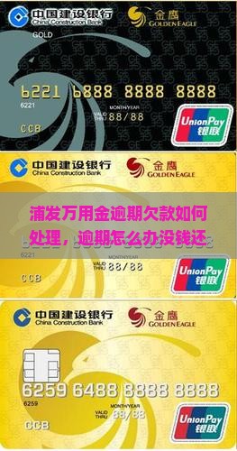 浦发万用金逾期欠款如何处理