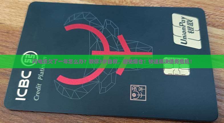 闪电贷欠了一年怎么办