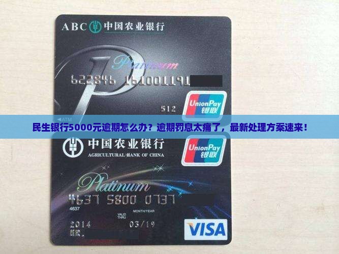 民生银行5000元逾期需要怎么处理