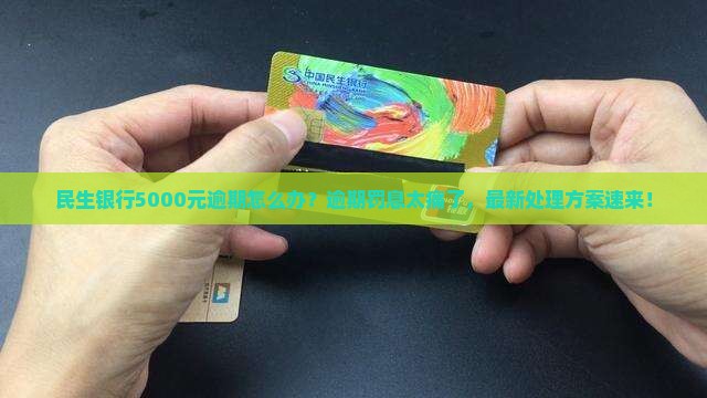民生银行5000元逾期需要怎么处理