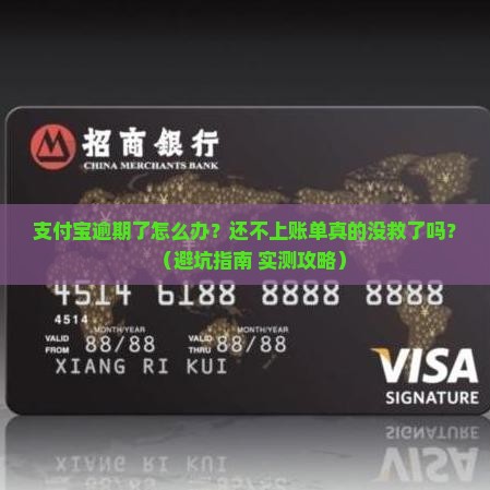 支付宝逾期怎么处理还不上账单
