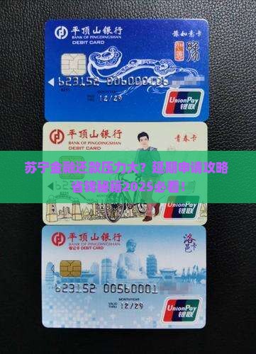苏宁金融可以申请延期还款吗如何操作 苏宁金融可以申请延期还款吗如何操作