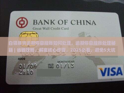 白领易贷逾期停息挂账如何处理