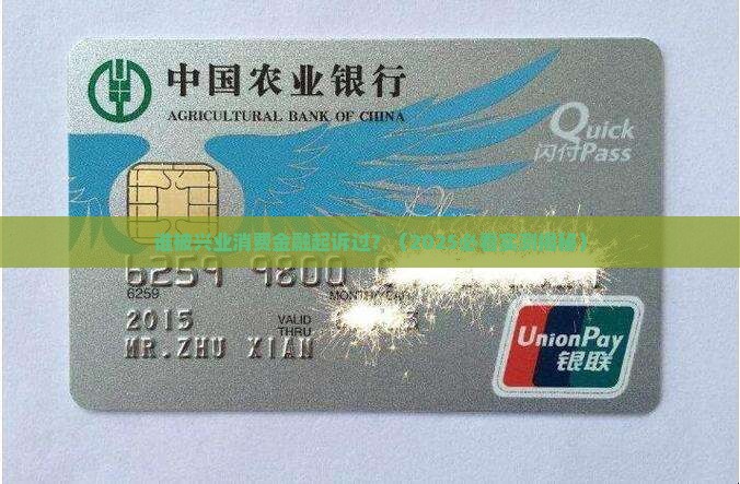 有谁被兴业消费金融起诉过