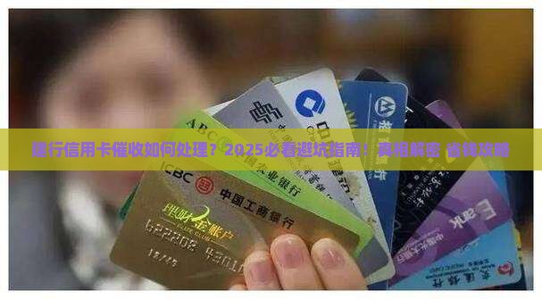 建行信用卡催收如何处理以免被起诉