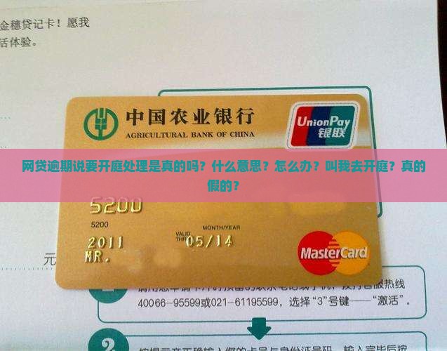 网贷逾期说要开庭处理