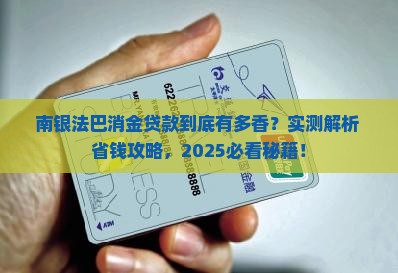 南银法巴消金贷款业务介绍