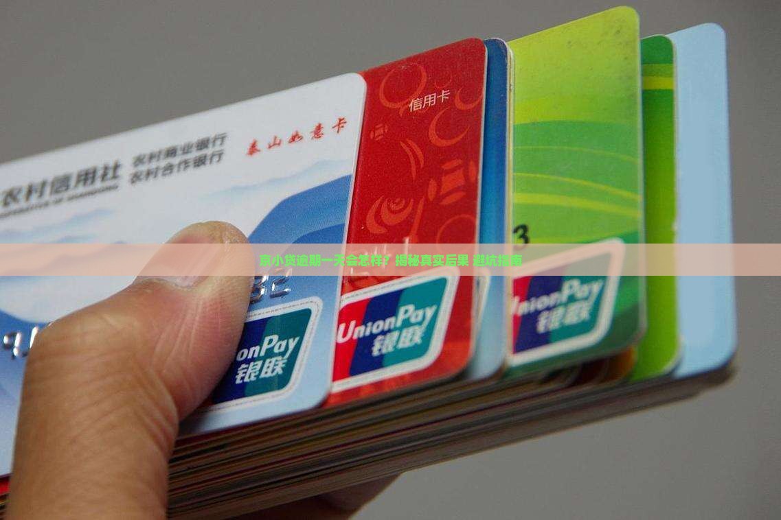 京小贷贷款逾期一天