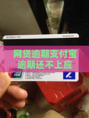 网贷逾期支付宝逾期还不上应该怎么办