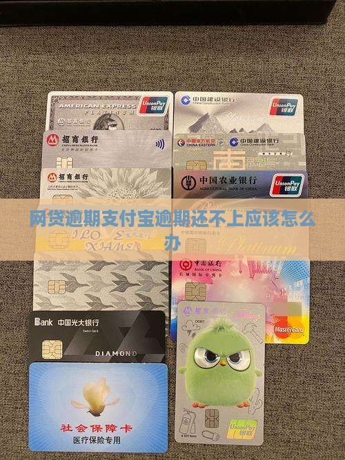 网贷逾期支付宝逾期还不上应该怎么办