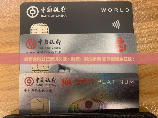 维信金融发短信说欠款应该如何处理