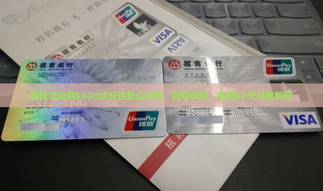 微粒贷逾期5000块应该怎么处理