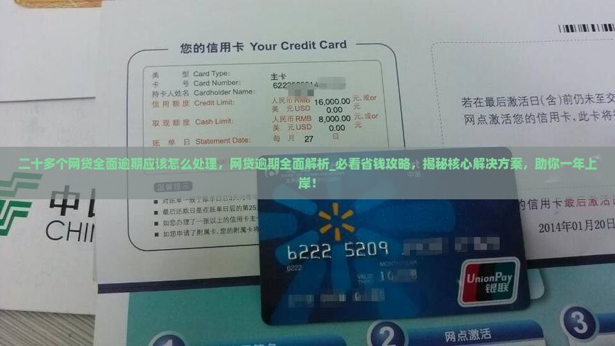 二十多个网贷全面逾期应该怎么处理